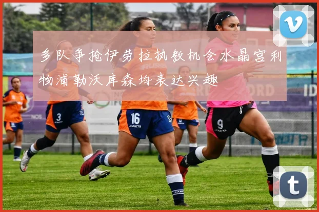 多队争抢伊劳拉执教机会水晶宫利物浦勒沃库森均表达兴趣